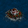truhe2.png