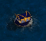 truhe3.png